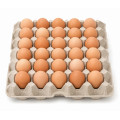 Huevos 30 u البيض