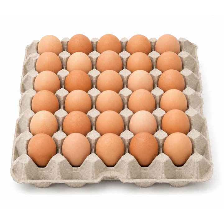 Huevos 30 u البيض