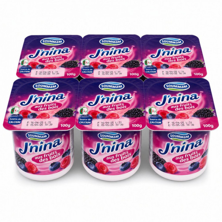 Yogur Jnina frutos del bosque SOUMMAM pack 6 x 100 g