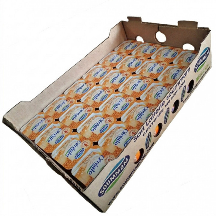 Caja yogur Céréalo SOUMMAM 24 u