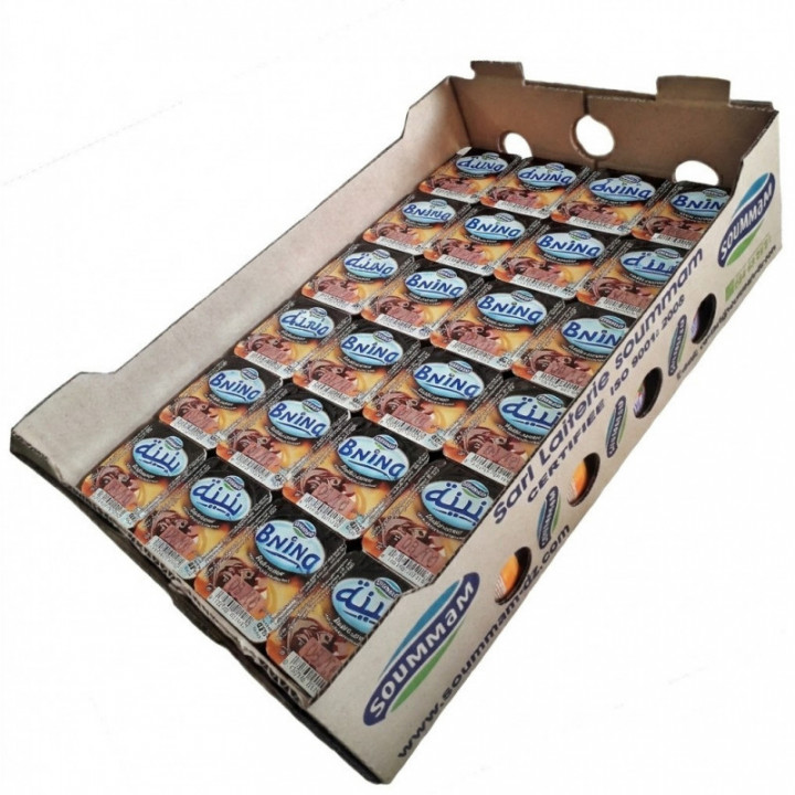 Caja yogur chocolate Bnina SOUMMAM 24 u