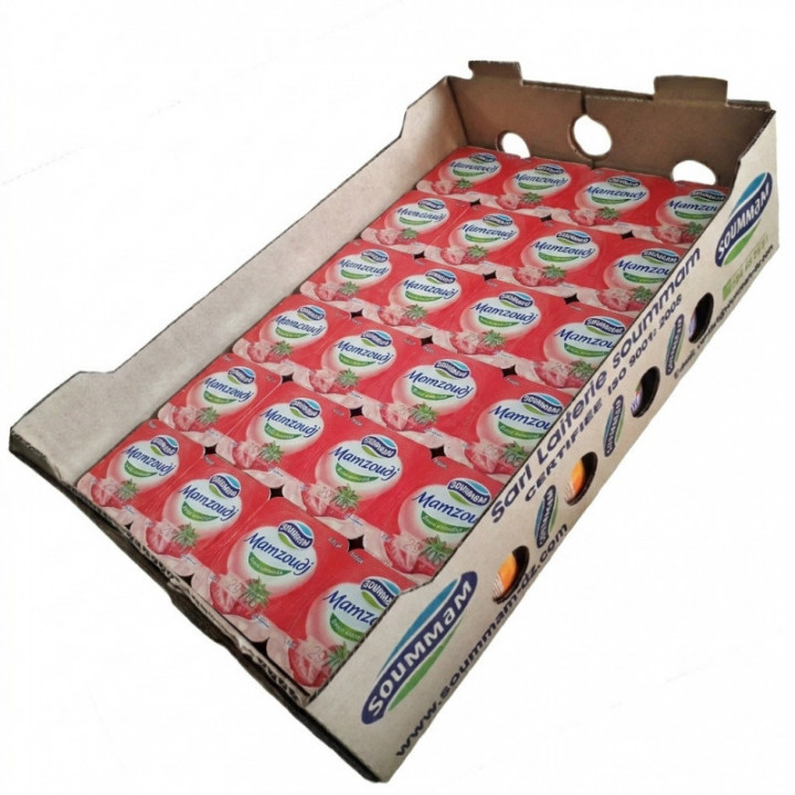 Caja yogur fresa Mamzoudj SOUMMAM 24 u