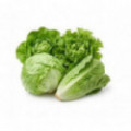 Lechuga 1 unidad