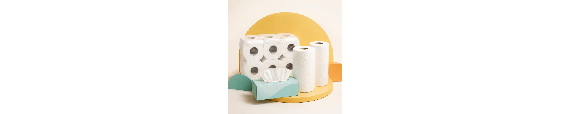 Papel doméstico